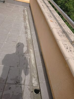 DSC 8967