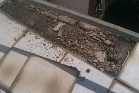IMAG0726