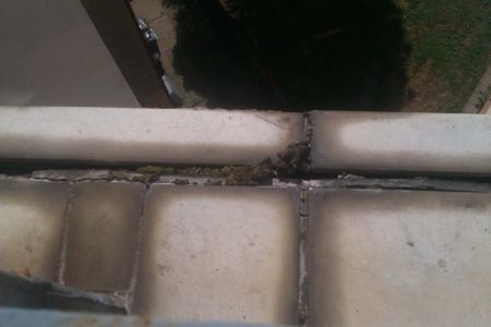 IMAG0742