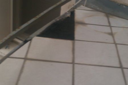 IMAG0838