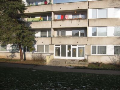 IMG 0248