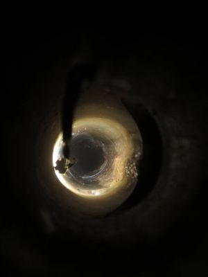 IMG 0270