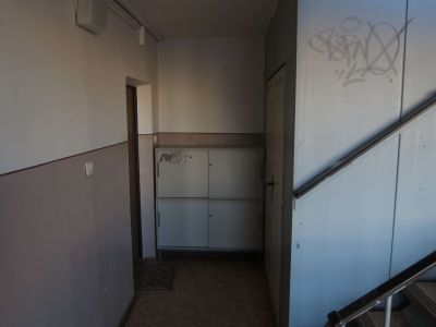 IMG 0332