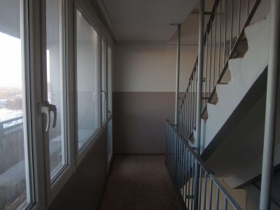 IMG 0381