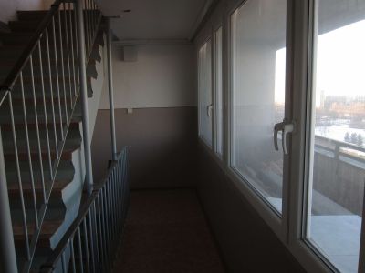 IMG 0382