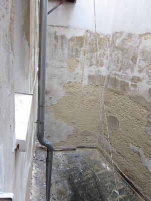 IMG 0421