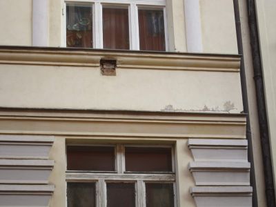 IMG 0903