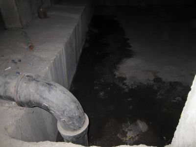 IMG 1200