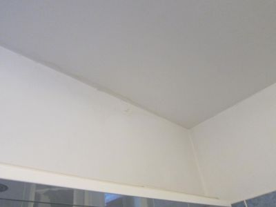 IMG 1364