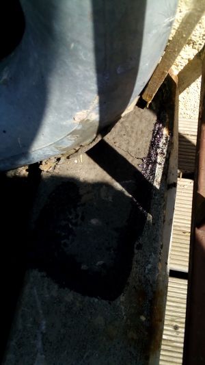 IMG 20170719 141211
