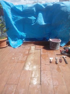 IMG 20170809 133610
