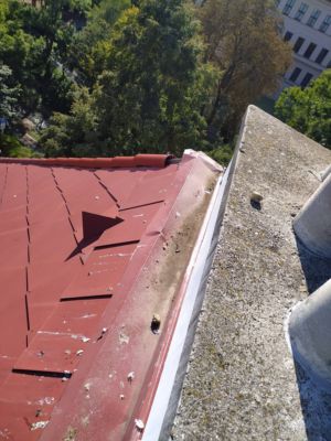 IMG 20200908 162219