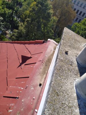 IMG 20200908 162219