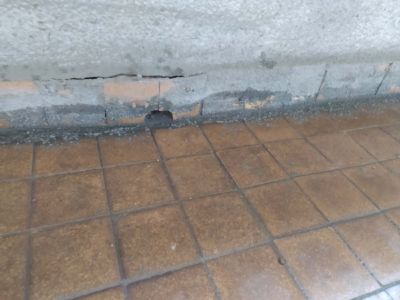 IMG 20210319 171401