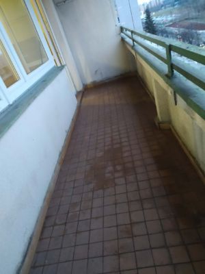 IMG 20210319 181443