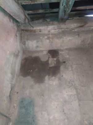 IMG 20210622 175445
