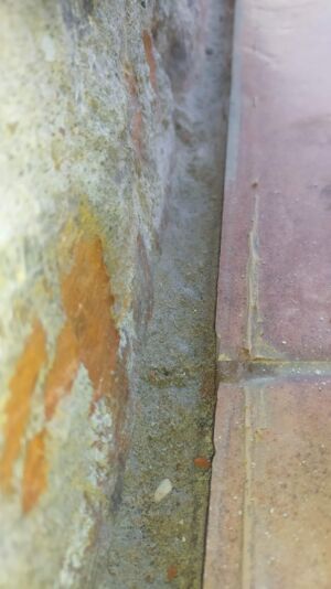IMG 20210906 152202