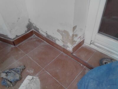 Exif_JPEG_420