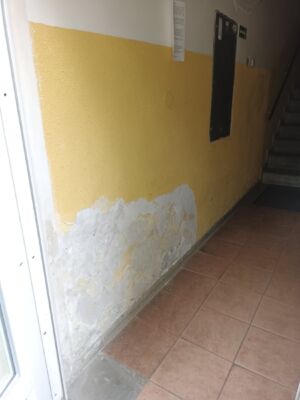 IMG 20240509 184613