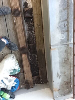 IMG 20240613 185320