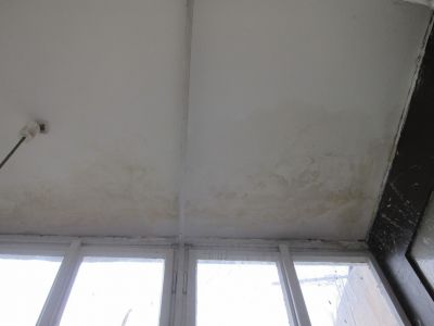 IMG 2782