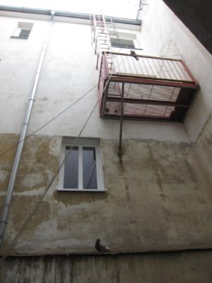 IMG 4513