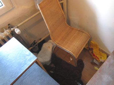 IMG 4531
