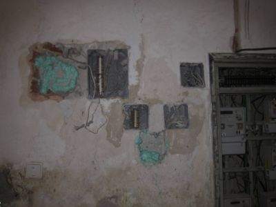 IMG 4704