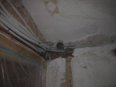 IMG 4724