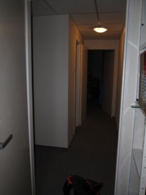 IMG 5137