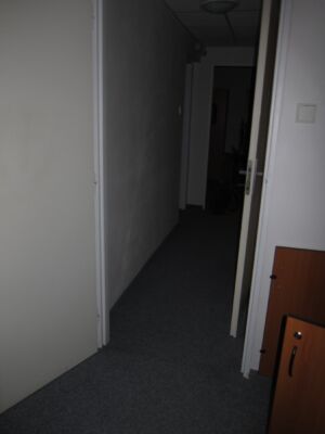 IMG 5165
