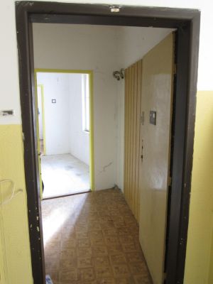 IMG 7142