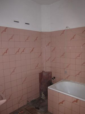 IMG 7160