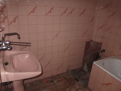IMG 7163