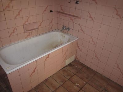 IMG 7164