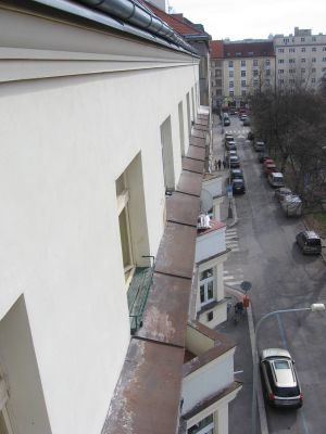 IMG 7687