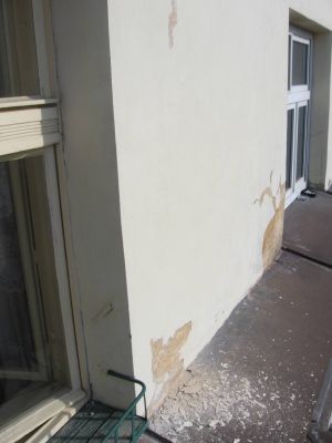 IMG 7726
