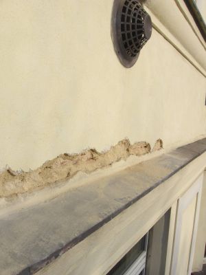 IMG 7739