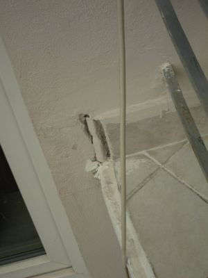 IMG 8981