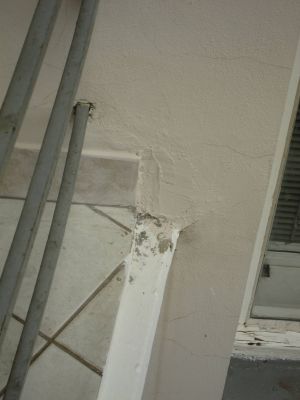 IMG 8987