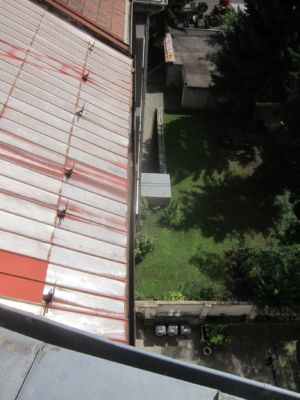 IMG 9008