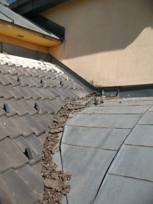 před čištěním