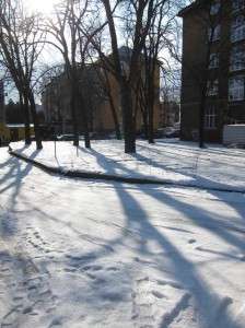 Pohled z kanceláře